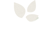 Automne CMS